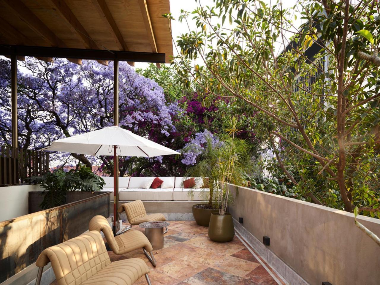 Hotel Dama Mexico by Eksteriør bilde